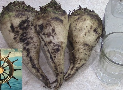 Самогон из свеклы