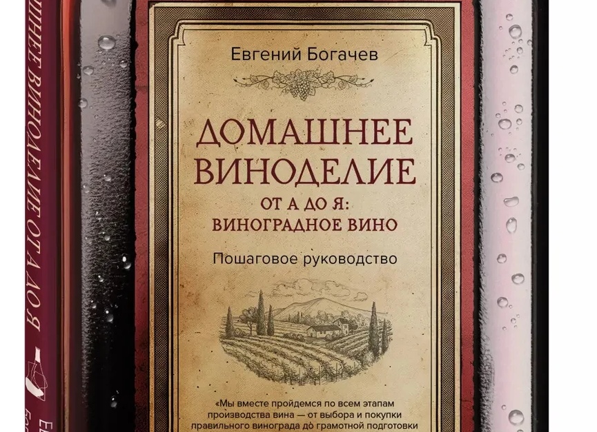 Домашнее виноделие от А до Я: виноградное вино